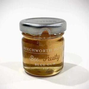 Bee Fruity Blue Gum Honey 45g Jar