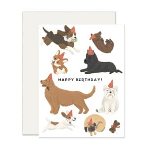 Dog Birthday Card image. Printed full colour on cream card. Blank inside and matched with a corresponding envelope. Online or Ph: 0351744888